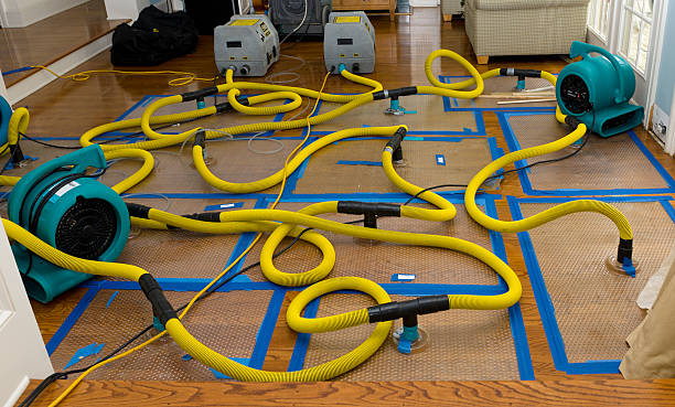 Professional Basement Flood Cleanup technician working in Bolivar, TN